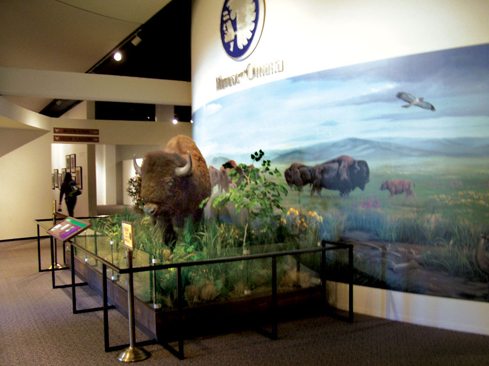 durhammuseum1